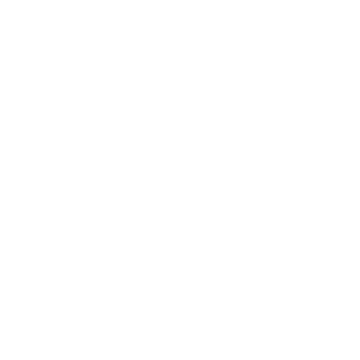 Serviciu 2: Inspectii retele electrice aeriene